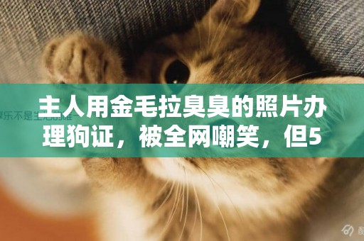 主人用金毛拉臭臭的照片辦理狗證，被全網嘲笑，但5年后才能換證 