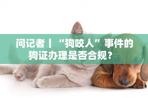 問記者丨“狗咬人”事件的狗證辦理是否合規？ 