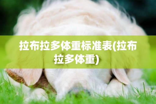 拉布拉多體重標準表(拉布拉多體重) 
