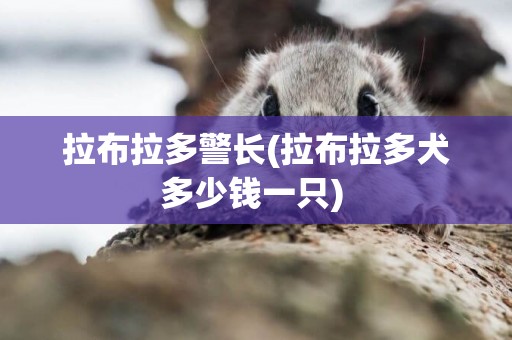 拉布拉多警長(拉布拉多犬多少錢一只) 