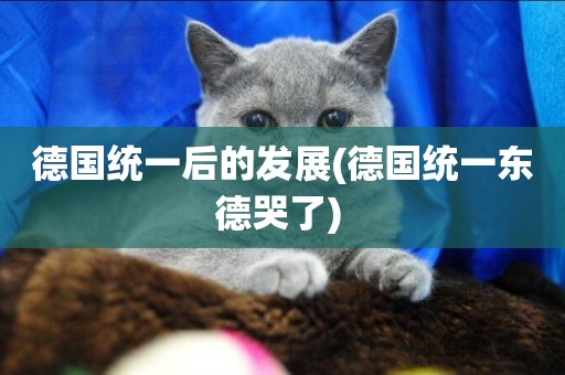 德國統一后的發展(德國統一東德哭了) 