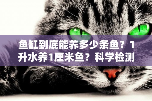 魚缸到底能養多少條魚？1升水養1厘米魚？科學檢測，心中有數 