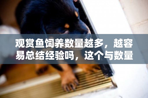 觀賞魚飼養數量越多，越容易總結經驗嗎，這個與數量的多少無關 