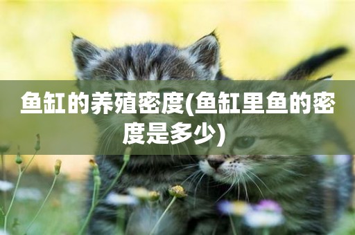 魚缸的養殖密度(魚缸里魚的密度是多少) 