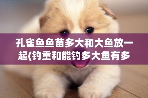 孔雀魚魚苗多大和大魚放一起(釣重和能釣多大魚有多大關系) 