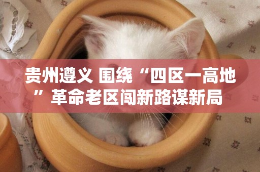 貴州遵義 圍繞“四區一高地”革命老區闖新路謀新局 