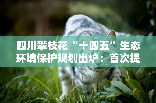 四川攀枝花“十四五”生態環境保護規劃出爐：首次提出基本建成“三大高地” 