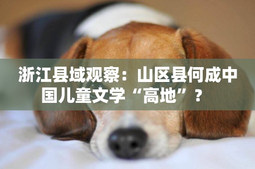 浙江縣域觀察：山區縣何成中國兒童文學“高地”？ 