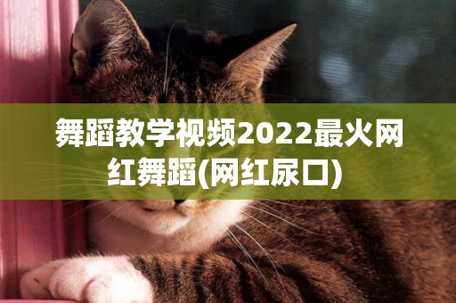 舞蹈教學視頻2022最火網紅舞蹈(網紅尿口) 