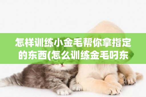 怎樣訓練小金毛幫你拿指定的東西(怎么訓練金毛叼東西走) 