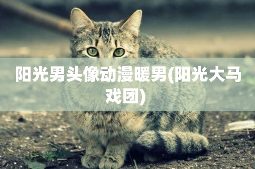 陽光男頭像動漫暖男(陽光大馬戲團) 