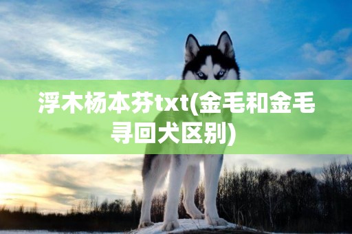 浮木楊本芬txt(金毛和金毛尋回犬區別) 