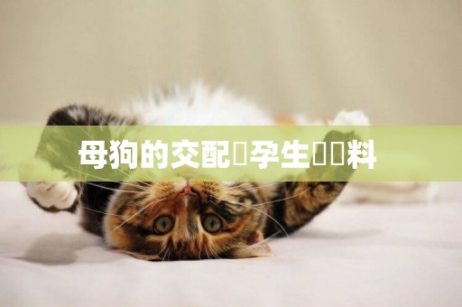 母狗的交配懷孕生產資料 