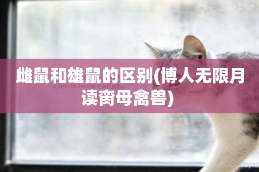 雌鼠和雄鼠的區別(博人無限月讀臠母禽獸) 