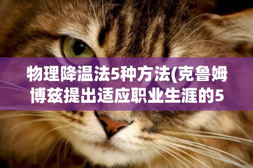 物理降溫法5種方法(克魯姆博茲提出適應職業生涯的5種態度不包括) 