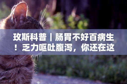玫斯科普｜腸胃不好百病生！乏力嘔吐腹瀉，你還在這樣養狗狗嗎？ 
