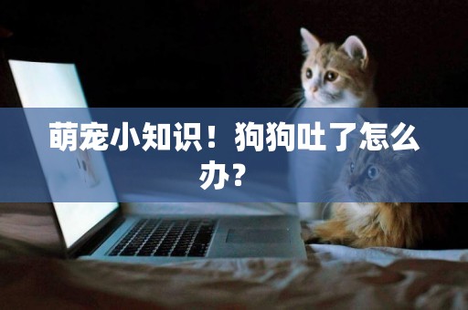 萌寵小知識！狗狗吐了怎么辦？ 