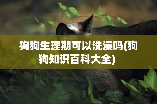狗狗生理期可以洗澡嗎(狗狗知識百科大全) 