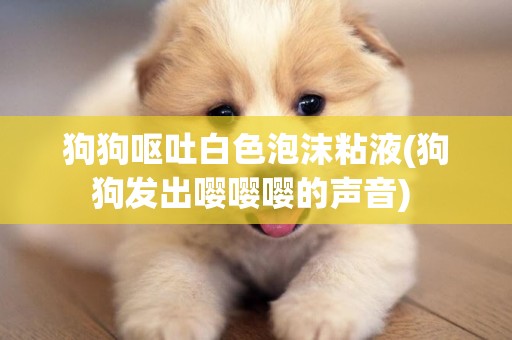 狗狗嘔吐白色泡沫粘液(狗狗發出嚶嚶嚶的聲音) 