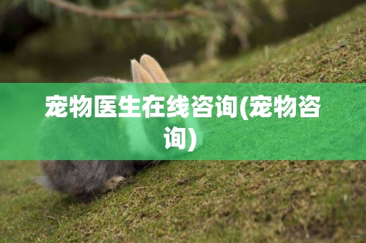 寵物醫生在線咨詢(寵物咨詢) 