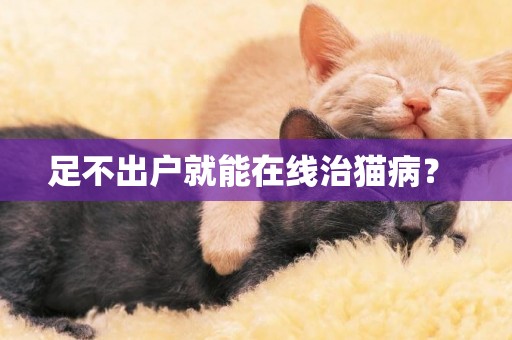 足不出戶就能在線治貓病？ 