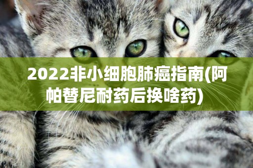 2022非小細胞肺癌指南(阿帕替尼耐藥后換啥藥) 