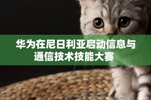 華為在尼日利亞啟動信息與通信技術技能大賽 
