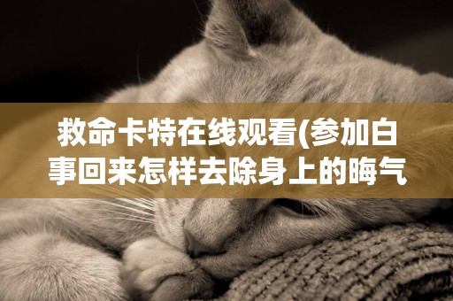 救命卡特在線觀看(參加白事回來怎樣去除身上的晦氣) 