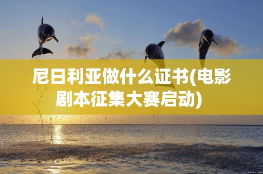 尼日利亞做什么證書(電影劇本征集大賽啟動) 