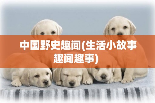 中國野史趣聞(生活小故事趣聞趣事) 