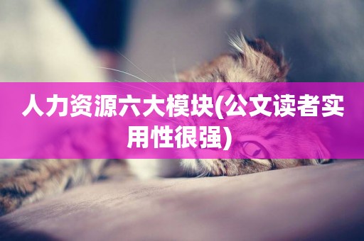 人力資源六大模塊(公文讀者實用性很強) 