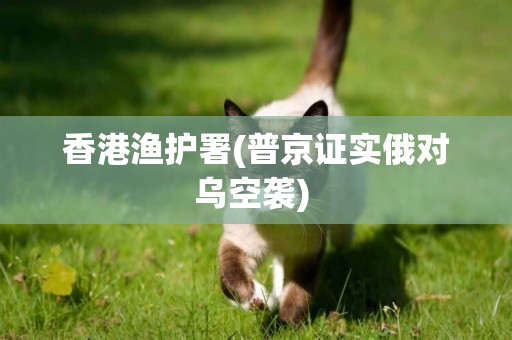 香港漁護署(普京證實俄對烏空襲) 