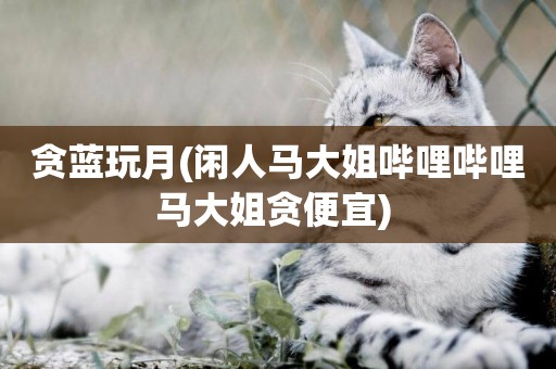 貪藍玩月(閑人馬大姐嗶哩嗶哩馬大姐貪便宜) 