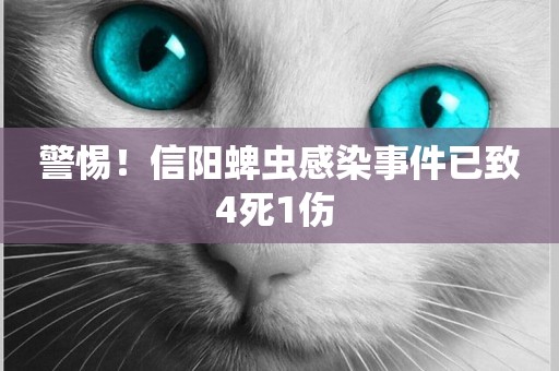 警惕！信陽蜱蟲感染事件已致4死1傷 