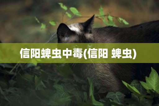 信陽蜱蟲中毒(信陽 蜱蟲) 