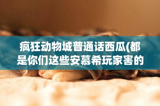 瘋狂動物城普通話西瓜(都是你們這些安慕希玩家害的) 