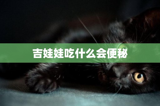 吉娃娃吃什么會便秘