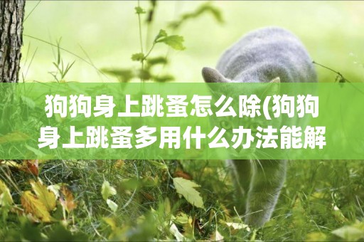 狗狗身上跳蚤怎么除(狗狗身上跳蚤多用什么辦法能解決) 