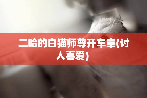 二哈的白貓師尊開車章(討人喜愛) 