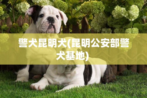 警犬昆明犬(昆明公安部警犬基地) 