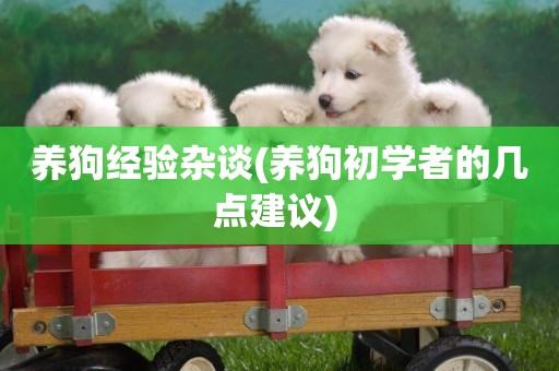 養狗經驗雜談(養狗初學者的幾點建議) 