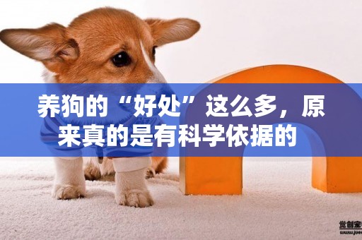 養狗的“好處”這么多，原來真的是有科學依據的 