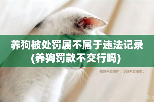 養狗被處罰屬不屬于違法記錄(養狗罰款不交行嗎) 
