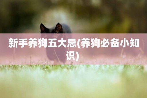 新手養狗五大忌(養狗必備小知識) 