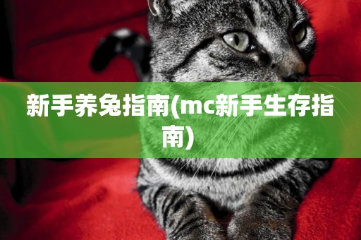 新手養兔指南(mc新手生存指南) 