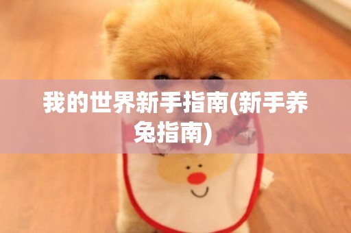 我的世界新手指南(新手養兔指南) 