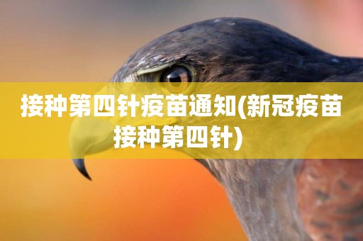 接種第四針疫苗通知(新冠疫苗接種第四針) 