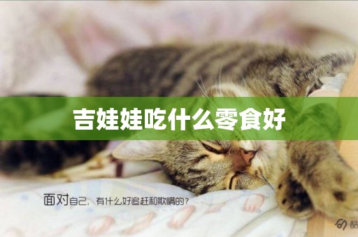 吉娃娃吃什么零食好