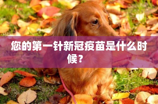 您的第一針新冠疫苗是什么時候？ 