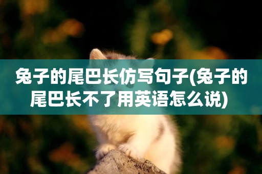 兔子的尾巴長仿寫句子(兔子的尾巴長不了用英語怎么說) 